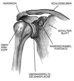 schulter01